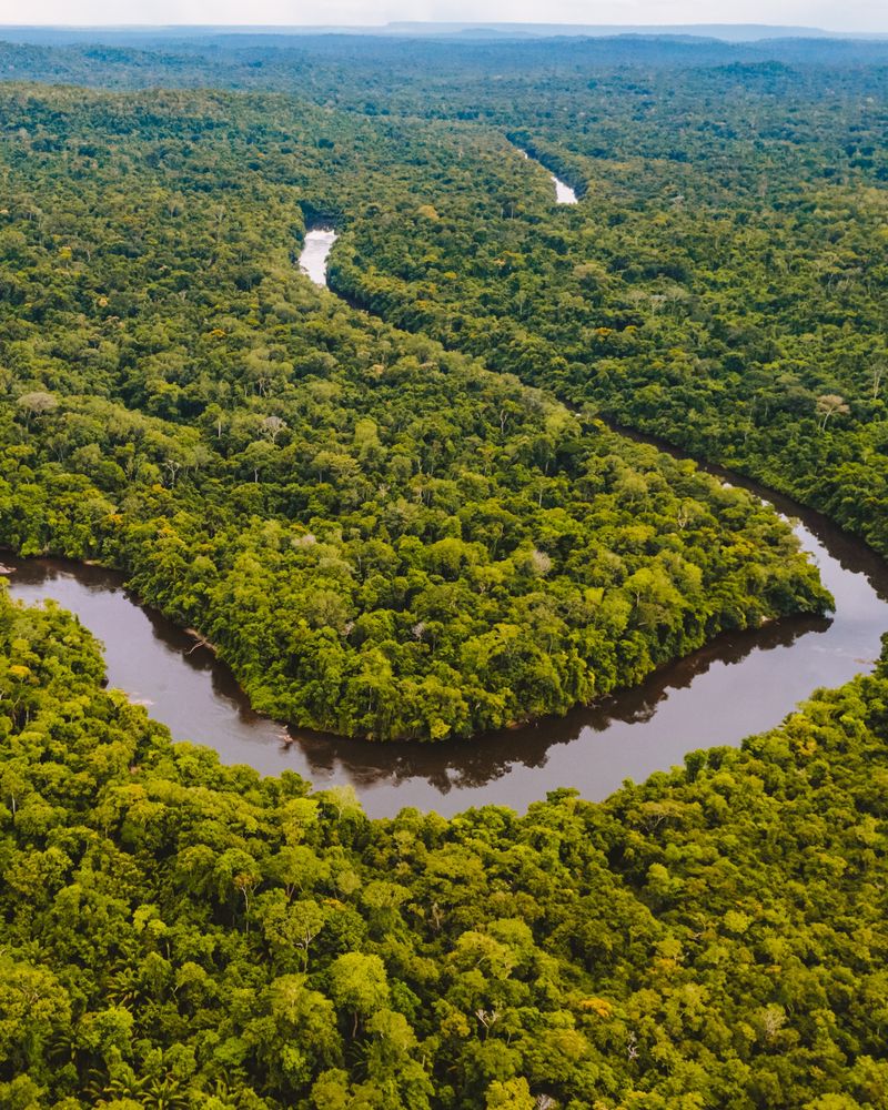 An aerial photo looking down on a bend in the Amazon river. The U bend shape is surrounded by verdant thick forest which extends into the far distance of the photo. 