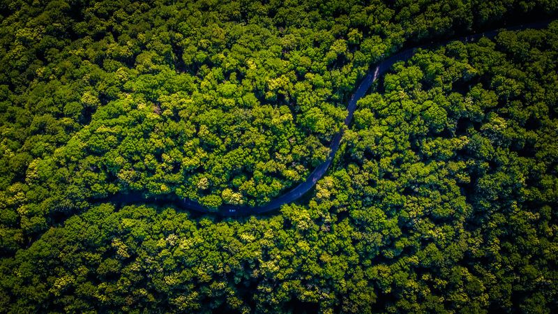 A modern road in the Amazon