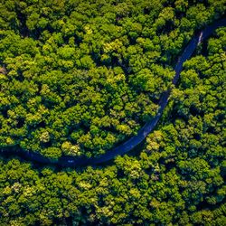 A modern road in the Amazon