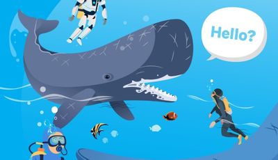 illustration of a diver talking to a whale