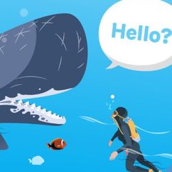 illustration of a diver talking to a whale