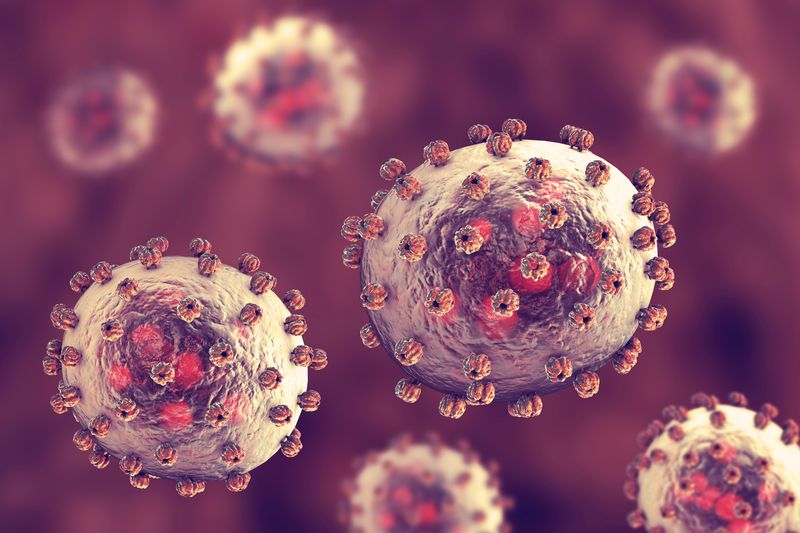 3D illustration of ovoid arenavirus particles with surface proteins sticking out all over them