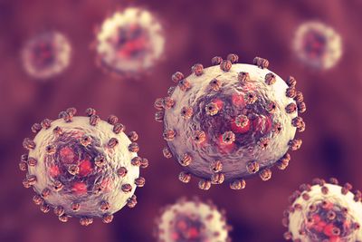 3D illustration of ovoid arenavirus particles with surface proteins sticking out all over them
