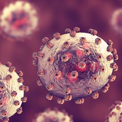 3D illustration of ovoid arenavirus particles with surface proteins sticking out all over them