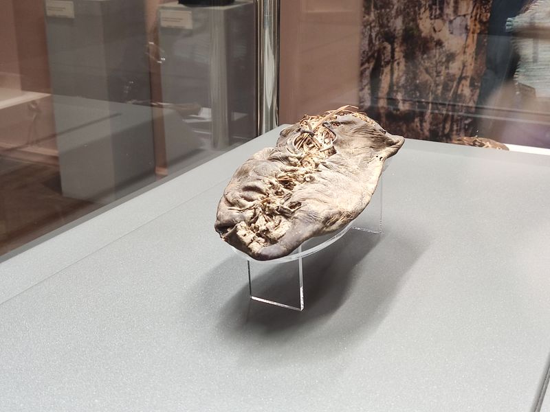 A picture of the Areni 1 shoe on display.
