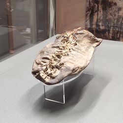A picture of the Areni 1 shoe on display.