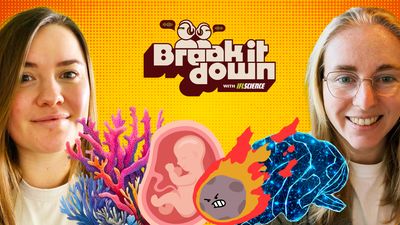 IFLScience Break It Down presenters on either side, in the middle there are illustrations of coral, a baby in the womb, an angry asteroid, and a brain