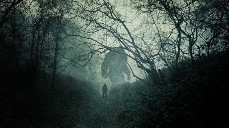 illustration of figure in a dark forest confronted by a huge figure resembling depictions of Bigfoot