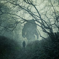 illustration of figure in a dark forest confronted by a huge figure resembling depictions of Bigfoot