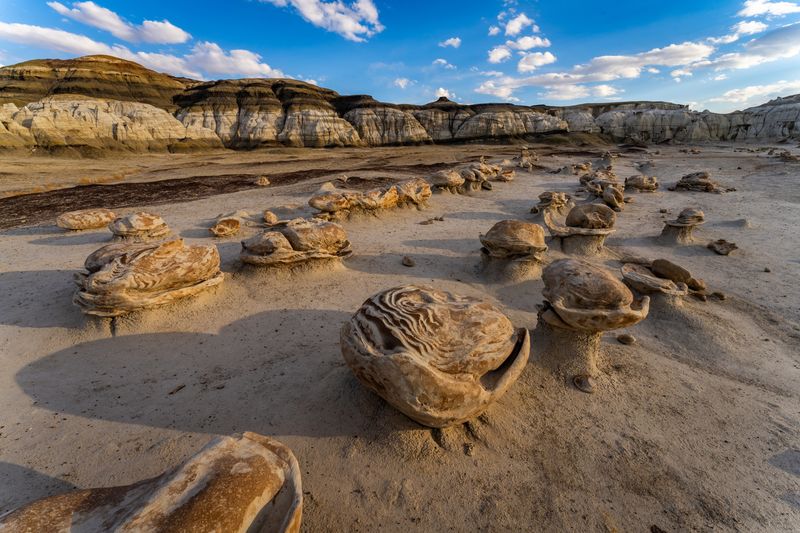 The Bisti Badlands of New Mexico showing strange roundish natural hoodoos that looks like a bunch of large egss on the dusty ground.