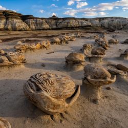 The Bisti Badlands of New Mexico showing strange roundish natural hoodoos that looks like a bunch of large egss on the dusty ground.