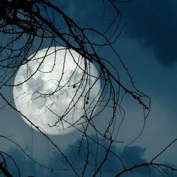 the full moon in the sky among blueish clouds behind some branches 