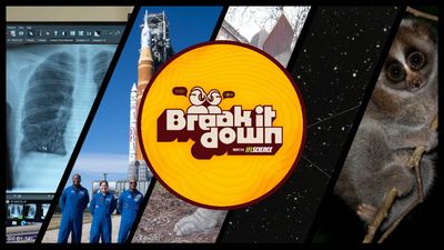 A complication header of the top stories with the yellow Break It Down logo.