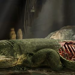 a reptile is seen dead in a cave with a visible injury to its side which reveals a ribcage