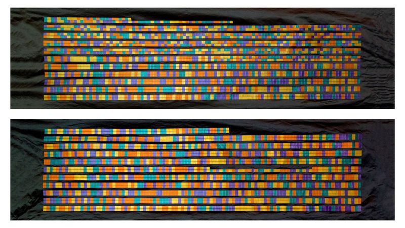 The DNA sequence of CCR5 Delta 32 gene mutation