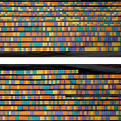 The DNA sequence of CCR5 Delta 32 gene mutation
