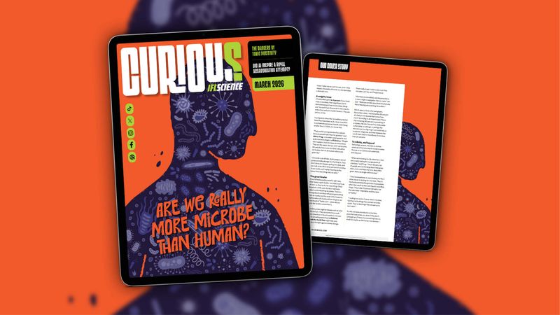 The cover of IFLScience's CURIOUS magazine as shown on an iPad. The background is orange with a purple-colored silhouette of a person covered in microbes. The cover line in orange says “are we really more microbe than human?”