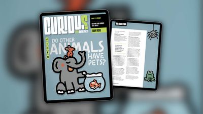The cover of IFLScience's CURIOUS magazine as shown on an iPad. The background is light blue, with an illustration of an elephant with a mouse sitting on top of its head and next to the elephant, a fish in a fishbowl. The cover line in white says “do other animals have pets?”