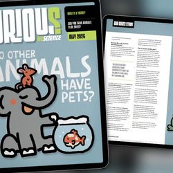 The cover of IFLScience's CURIOUS magazine as shown on an iPad. The background is light blue, with an illustration of an elephant with a mouse sitting on top of its head and next to the elephant, a fish in a fishbowl. The cover line in white says “do other animals have pets?”