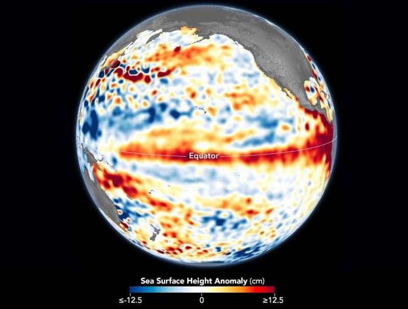 A global map from June 2023 showing higher temperatures (red) around the eastern equatorial Pacific - a sure sign of El Niño.