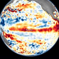 A global map from June 2023 showing higher temperatures (red) around the eastern equatorial Pacific - a sure sign of El Niño.