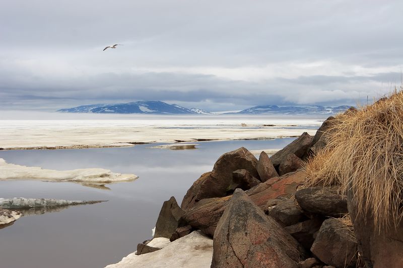 A photo showing a large expanse of ice giving way to water by the shore. In the foreground to the bottom right is a mound of earth or bank with rocks sticking out it it. There is a clump of brown grass at the top of it. In the distance is a mountain range just below a thick line of low cloud. 