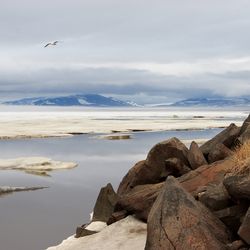 A photo showing a large expanse of ice giving way to water by the shore. In the foreground to the bottom right is a mound of earth or bank with rocks sticking out it it. There is a clump of brown grass at the top of it. In the distance is a mountain range just below a thick line of low cloud. 