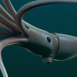 a 3d rendering of a giant squid