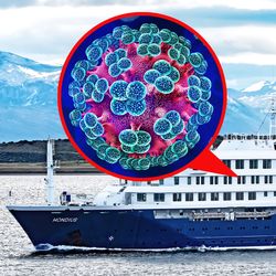 cruise ship m/v Hondius off the coast of Ushuaia, Argentina; a circular cutout shows an illustration of a hantavirus particle