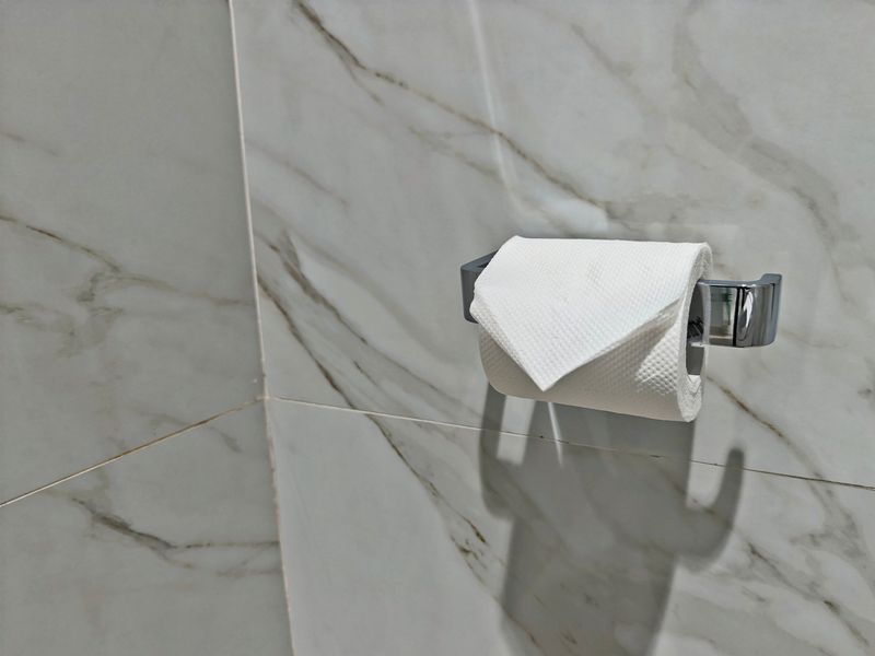 folded toilet paper is a common sight in hotel bathrooms