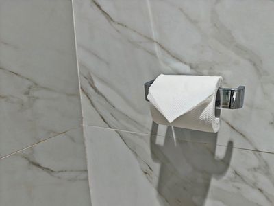 folded toilet paper is a common sight in hotel bathrooms