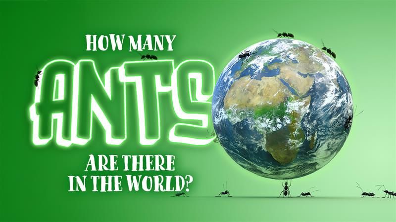 ants holding up the Earth