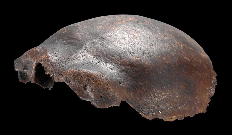 Human skull bone from Hahnofersand