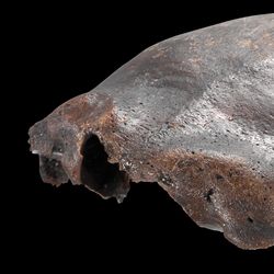Human skull bone from Hahnofersand