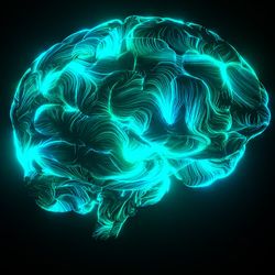 blue brain image on a black background to the right of yellow text that reads How Does Memory Work?