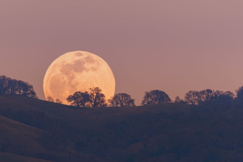 The moon looking particularly large (and pretty) as it sits on the horizon. 