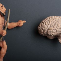 Neanderthal man and human brain