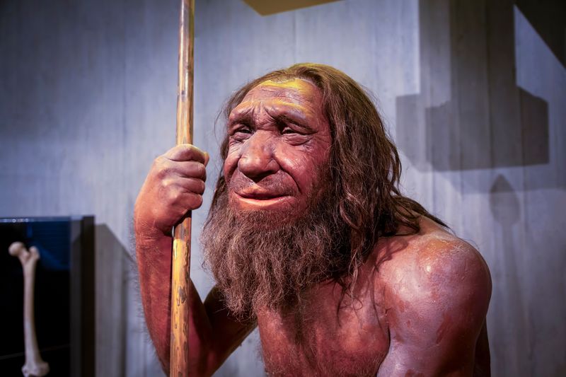 Neanderthal, prehistoric caveman