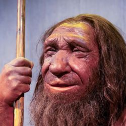 Neanderthal, prehistoric caveman