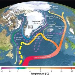 The northernmost part of the AMOC is strengthening, which some had seen as a positve sign overall, but a new approach reveals the more significant western edge is weakening 