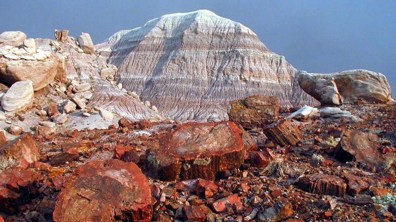 petrified wood covering the floor of the badlands at Arizona's Petrified Forest National Park; 