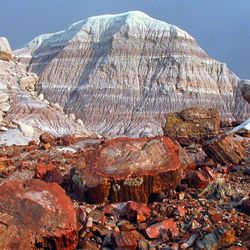 petrified wood covering the floor of the badlands at Arizona's Petrified Forest National Park; 