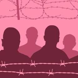 illustration of human silhouettes with barbed wire above and below to represent being jailed, all in shades of pink on a background in the specific shade of Baker-Miller pink