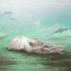 Palaeoart recreation of Pohlsepia mazonensis, dead on the ocean floor.