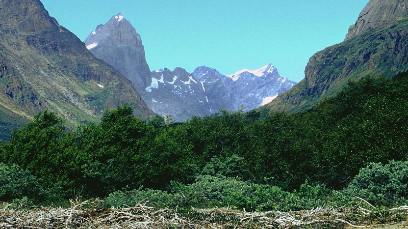 A picture of Qinngua Valley taken in 2008.