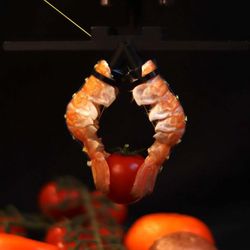 Demonstration of the robotic gripper made from langoustine tails.