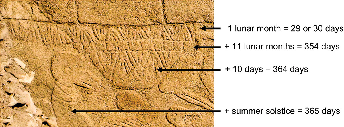 an image of Pillar 43 at Göbekli Tepe, showing a potential calendar of 29-30 "days" as lines in interlocking V formations, 11 "months" as blocks underneath, 10 extra "days" as more interlocking Vs, and one further V "day" adorning the neck of a bird to symbolize the summer solstice. Combined this adds up to 365 days, making a year.