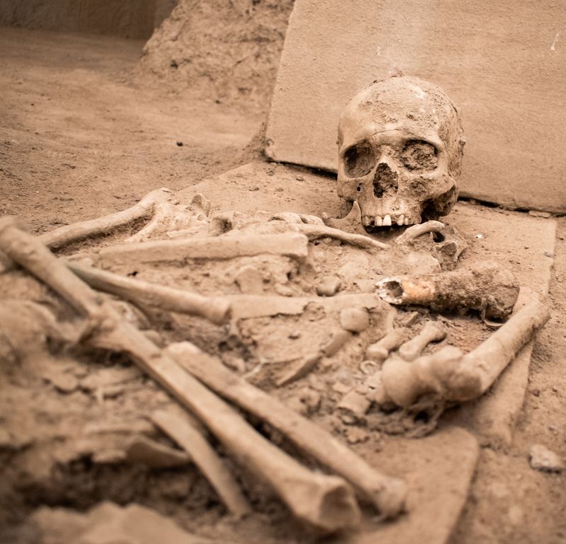 A photo showing a skull and assorted bones laying around it in a tight pile. The bones are covered in dried soil to the extent that the skull's eye sockets are filled with it. The bones are resting on what look to be clay slabs and are surrounded by an dry earthy ground. 