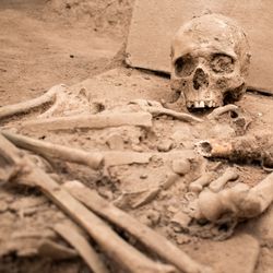 A photo showing a skull and assorted bones laying around it in a tight pile. The bones are covered in dried soil to the extent that the skull's eye sockets are filled with it. The bones are resting on what look to be clay slabs and are surrounded by an dry earthy ground. 