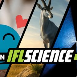 All the biggest science news stories of the week.